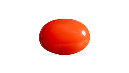 Japanese Red Coral (Moonga) 6.26 Carats