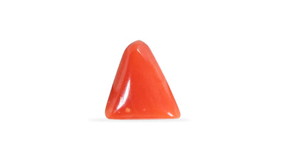 Natural Italian Red Coral (Moonga) 6.06 Carats