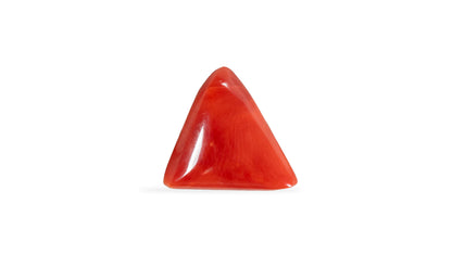 Natural Italian Red Coral (Moonga) 5.29 Carats