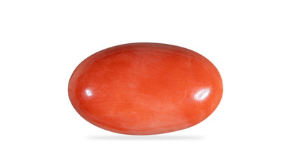 Japanese Red Coral (Moonga) 12.11 Carats
