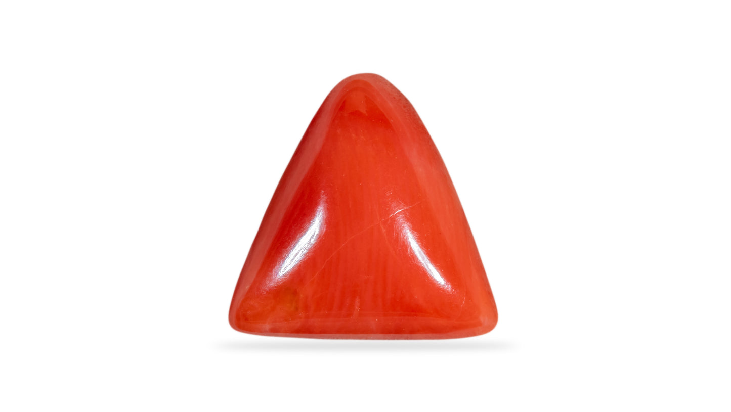 Natural Italian Red Coral (Moonga) 5.34 Carats