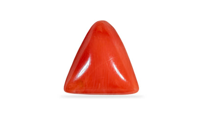 Natural Italian Red Coral (Moonga) 5.34 Carats