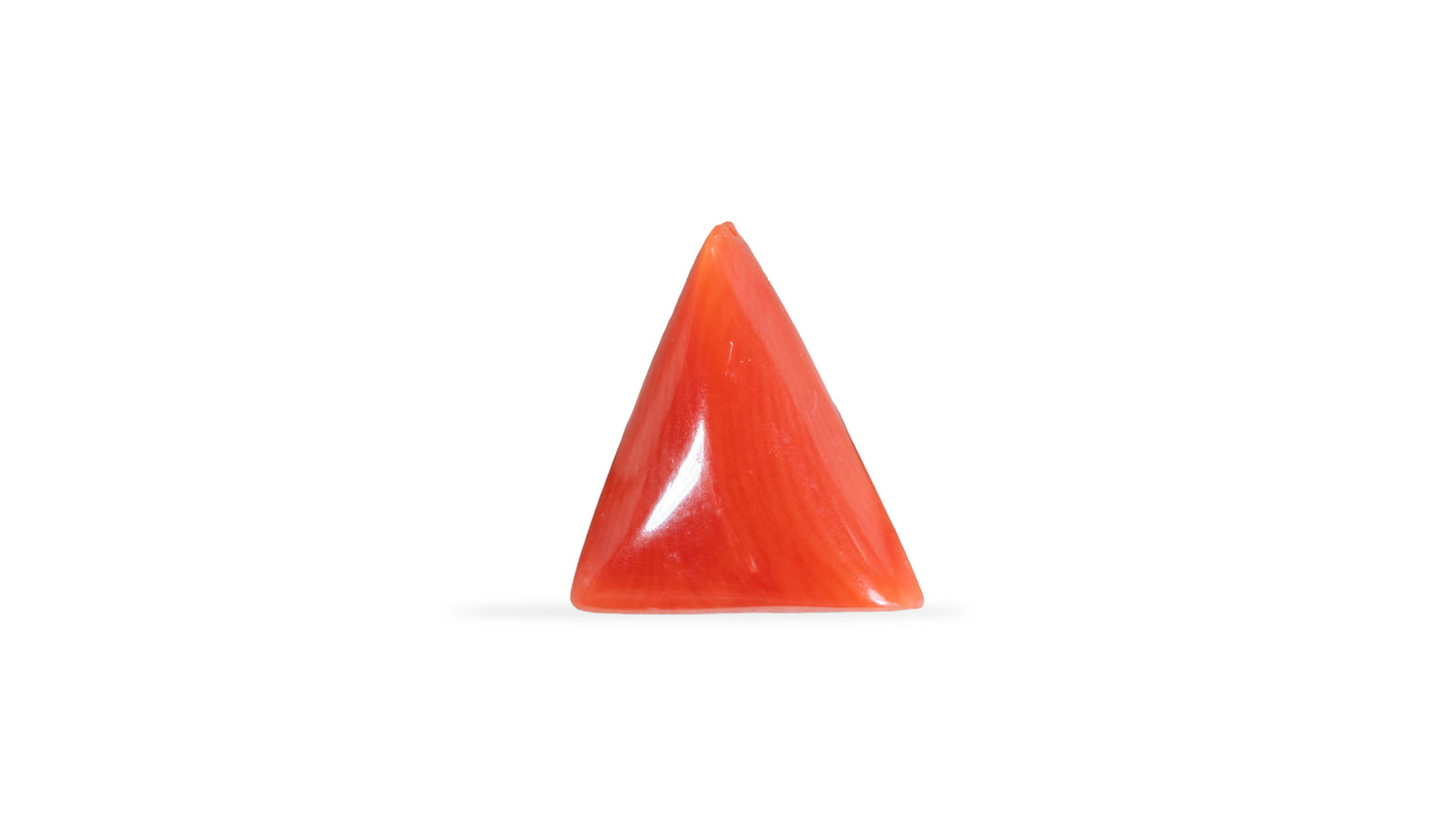 Natural Italian Red Coral (Moonga) 5.04 Carats