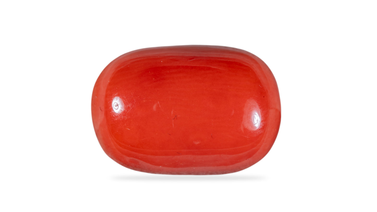 Natural Italian Red Coral (Moonga) 12.63 Carats