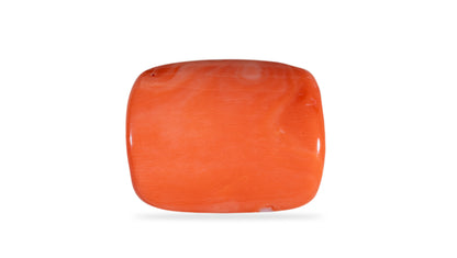 Japanese Red Coral (Moonga) 21.15 Carats