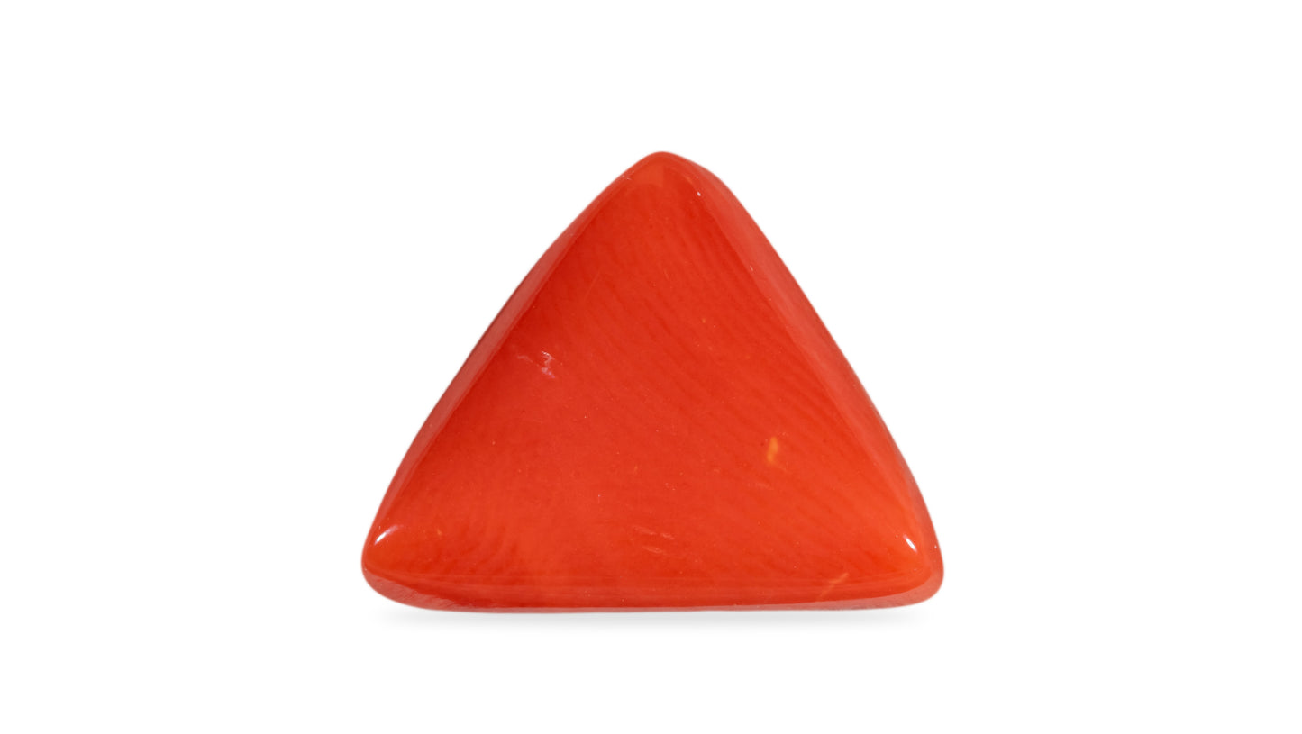 Natural Italian Red Coral (Moonga) 7.05 Carats