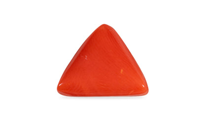 Natural Italian Red Coral (Moonga) 7.05 Carats