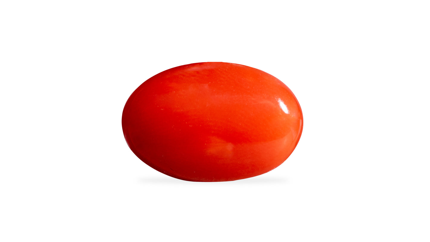 Japanese Red Coral (Moonga) 5.44 Carats