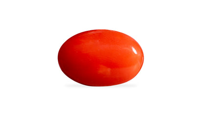Japanese Red Coral (Moonga) 5.44 Carats