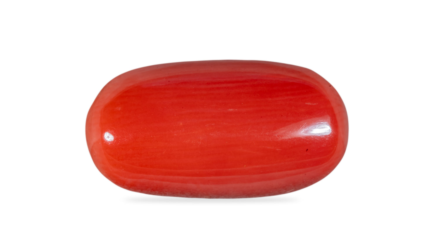 NATURAL RED CORAL (Moonga) 7.43 CARATS