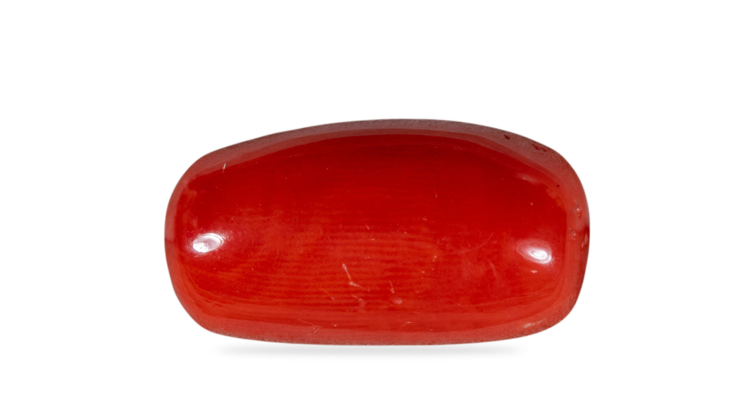 Natural Italian Red Coral (Moonga) 7.04 Carats