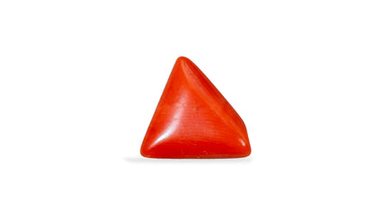 Natural Italian Red Coral (Moonga) 4.10 Carats
