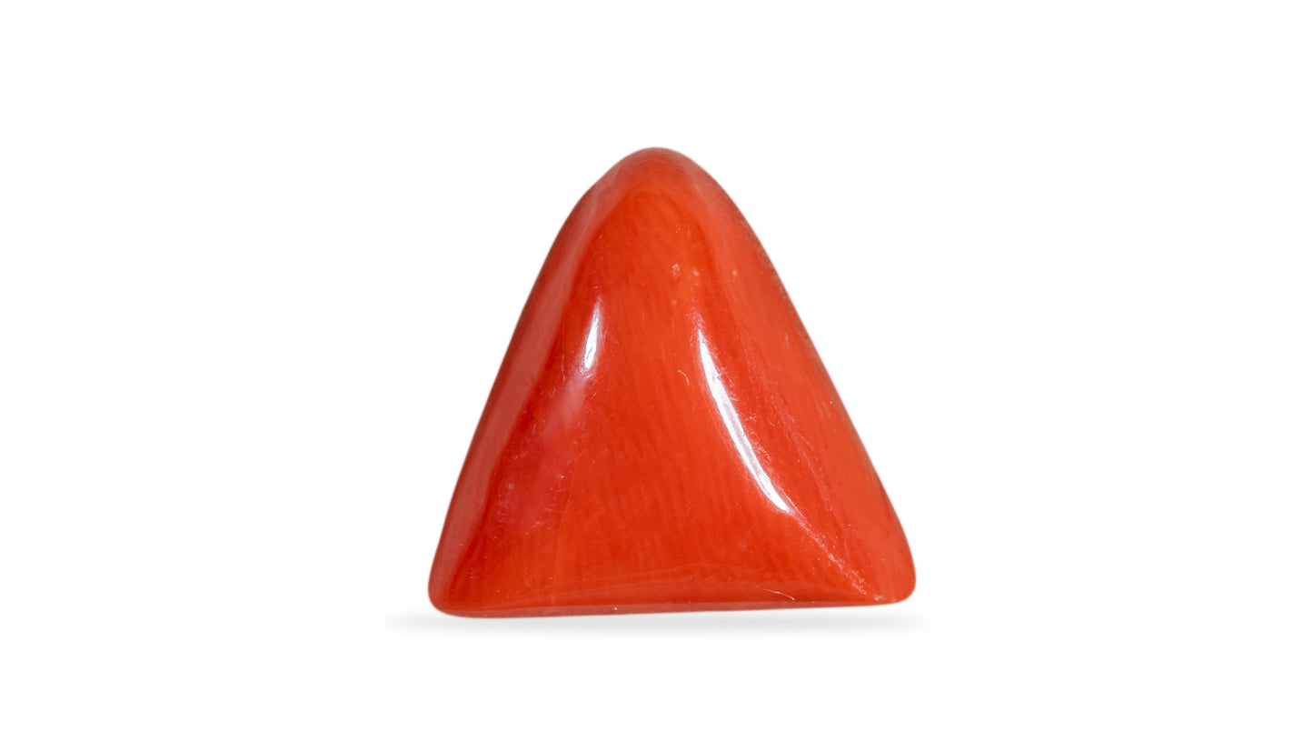 Natural Italian Red Coral (Moonga) 6.75 Carats