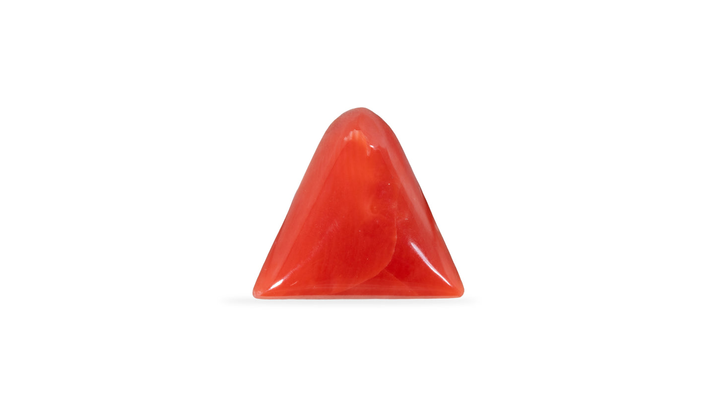 Natural Italian Red Coral (Moonga) 5.74 Carats