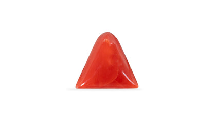 Natural Italian Red Coral (Moonga) 5.74 Carats
