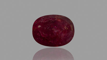 Natural Ruby (Manik) 8.08 Carats