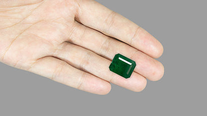 Natural Zambian Emerald (Panna) 11.58 Carats
