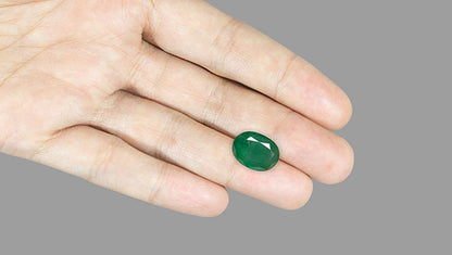Minor Oil Natural Zambian Emerald (Panna) 13.99 Carats