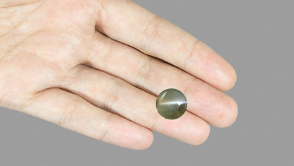 Natural Cat'S Eye (Chrysoberyl)  9.68 Carats