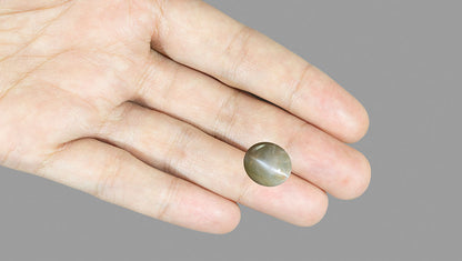 Natural Cat'S Eye (Chrysoberyl) 10.13 Carats