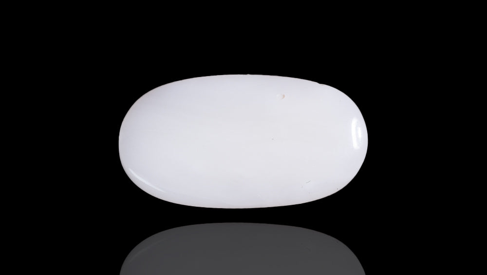 Natural White Coral 7.14 Carats