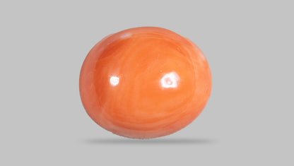Japanese Red Coral (Moonga) 14.53 Carats