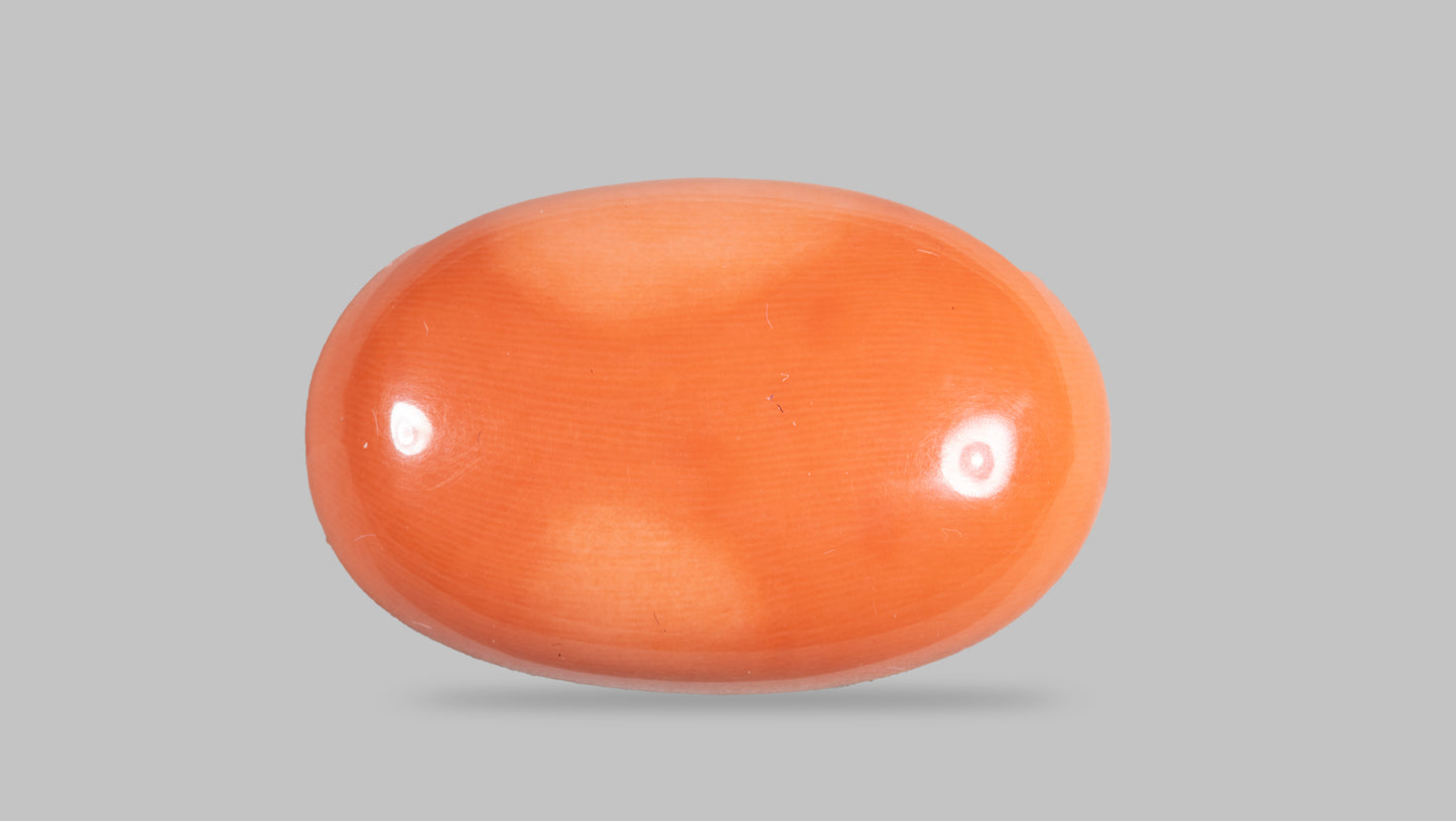 Japanese Red Coral (Moonga) 41.83 Carats