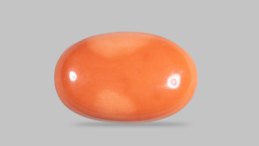 Japanese Red Coral (Moonga) 41.83 Carats