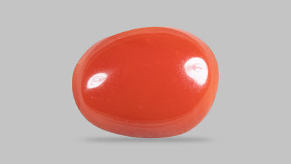 Japanese Red Coral (Moonga) 5.24 Carats