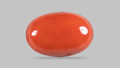 Japanese Red Coral (Moonga) 4.57 Carats