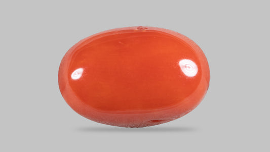 Japanese Red Coral (Moonga) 4.57 Carats