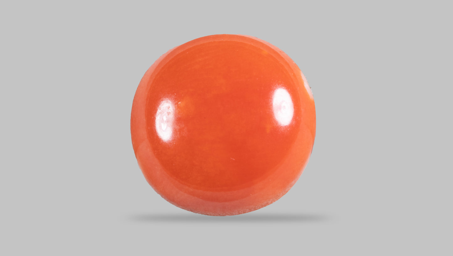 Japanese Red Coral (Moonga) 4.69 Carats