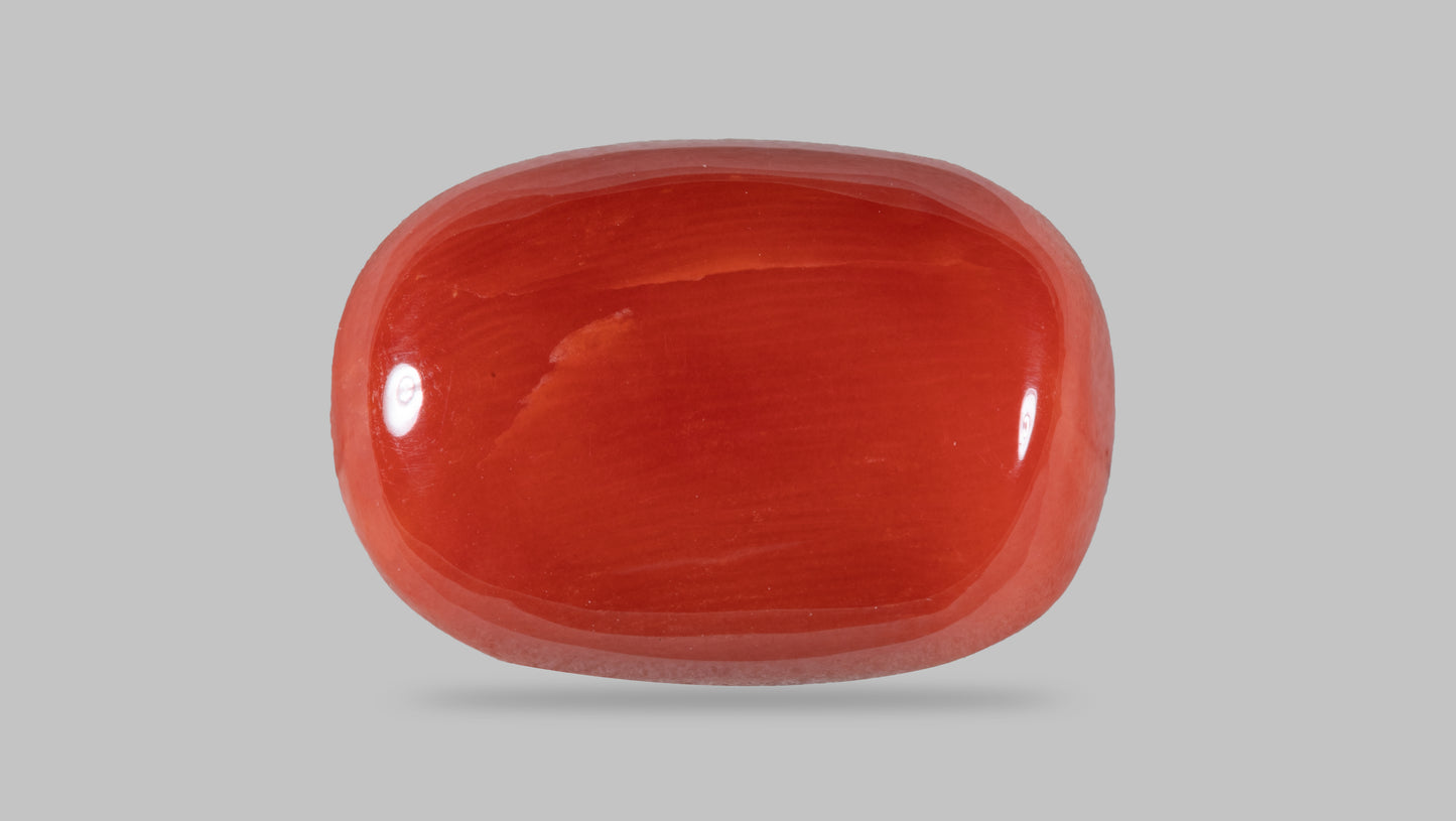 NATURAL RED CORAL (MOONGA) 13.31 CARATS
