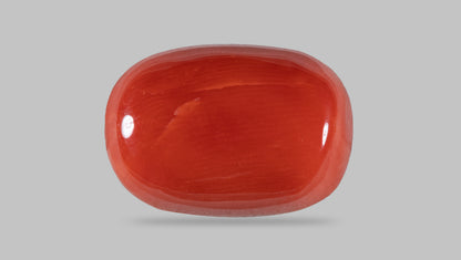 NATURAL RED CORAL (MOONGA) 13.31 CARATS