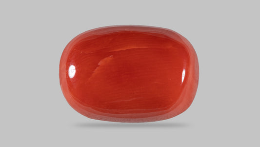 NATURAL RED CORAL (MOONGA) 13.31 CARATS