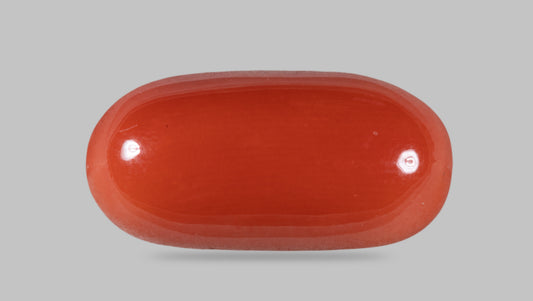 Natural Italian Red Coral (Moonga) 11.66 Carats