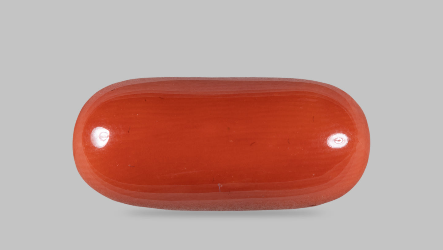 Natural Italian Red Coral (Moonga) 12.74 Carats
