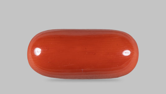 Natural Italian Red Coral (Moonga) 12.74 Carats
