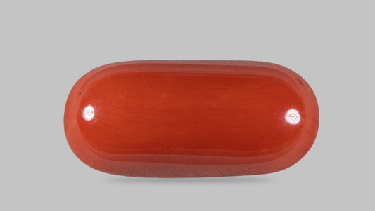 Natural Italian Red Coral (Moonga) 14.19 Carats