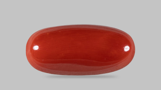 NATURAL RED CORAL (MOONGA) 15.21 CARATS