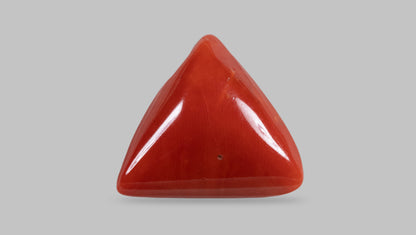 Natural Italian Red Coral (Moonga) 18.05 Carats