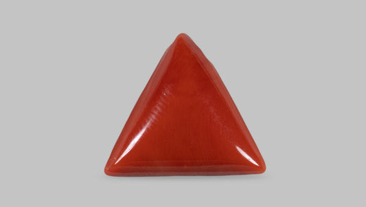 Natural Italian Red Coral (Moonga) 16.46 Carats