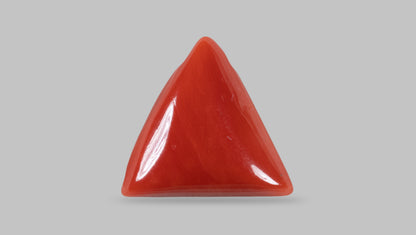 Natural Italian Red Coral (Moonga) 14.05 Carats