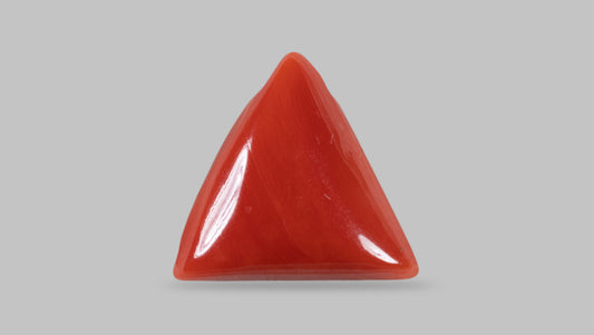 Natural Italian Red Coral (Moonga) 14.05 Carats