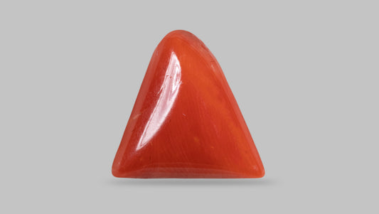 NATURAL RED CORAL (MOONGA) 7.82 CARATS