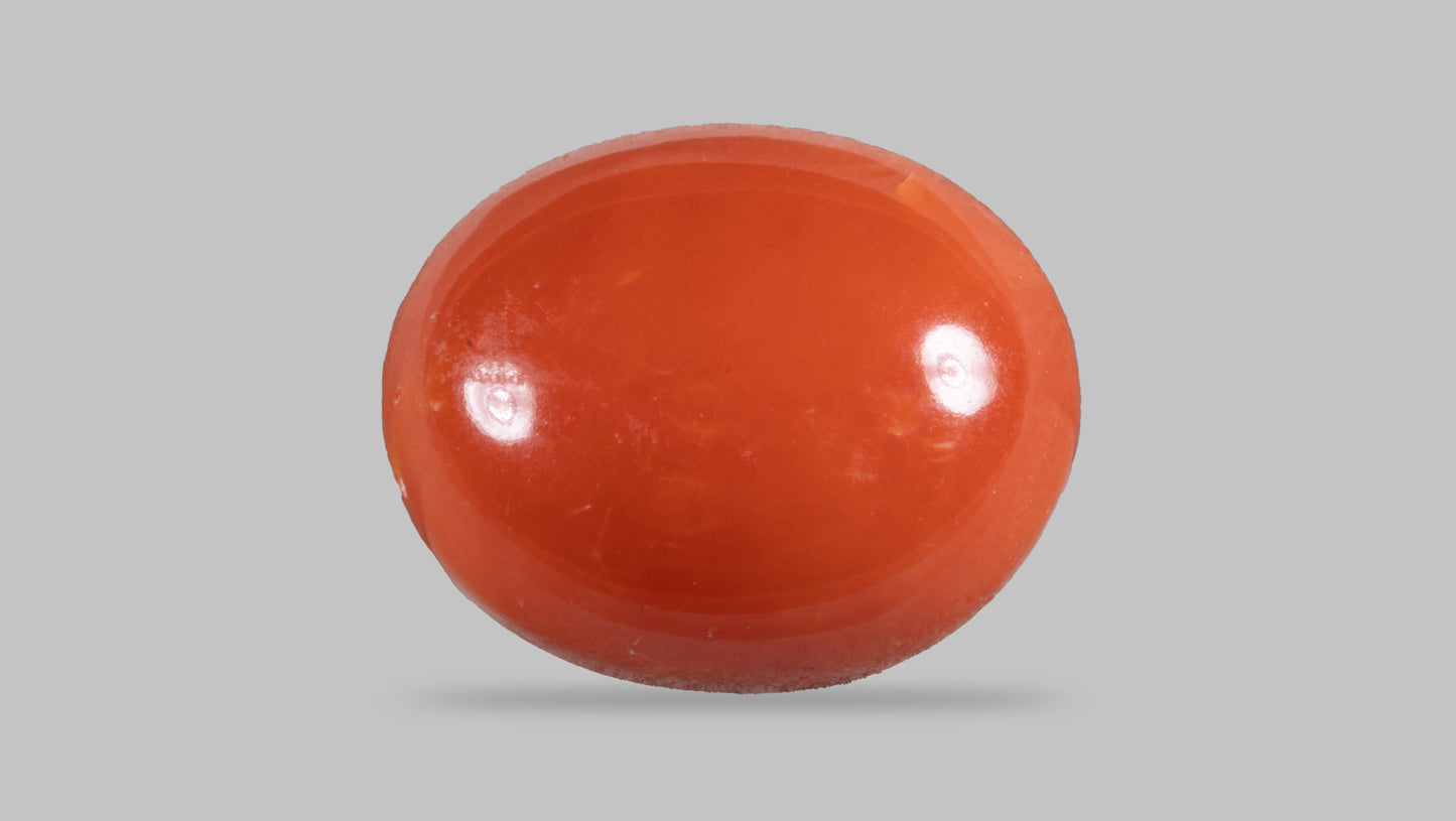 Japanese Red Coral (Moonga) 4.65 Carats