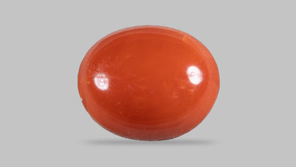 Japanese Red Coral (Moonga) 4.65 Carats