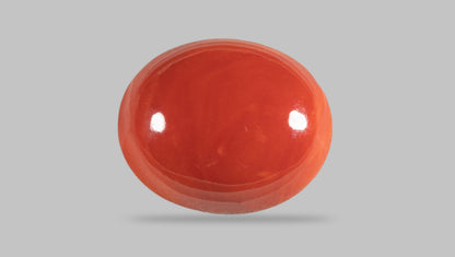 Japanese Red Coral (Moonga) 29.31 Carats