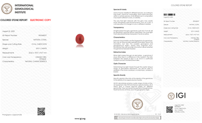 Japanese Red Coral (Moonga) 29.31 Carats