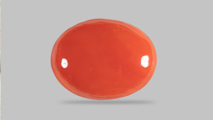 Japanese Red Coral (Moonga) 9.06 Carats